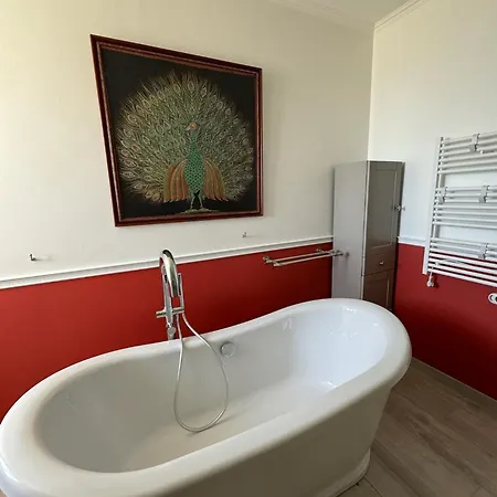Βίλα Enorme Domaine Avec Piscine, Salle De Fete, Boulodrome, Cinema Et Nérac